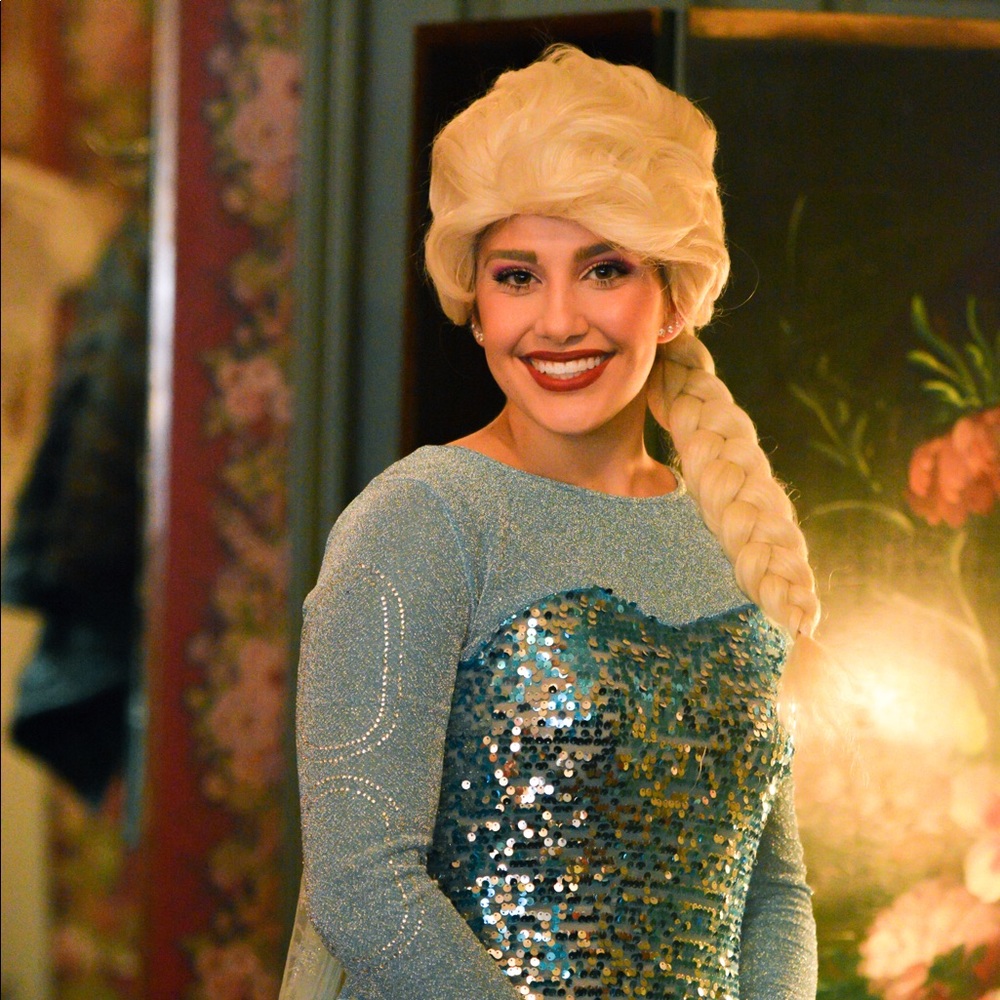 Elsa Wig (Costume not included)